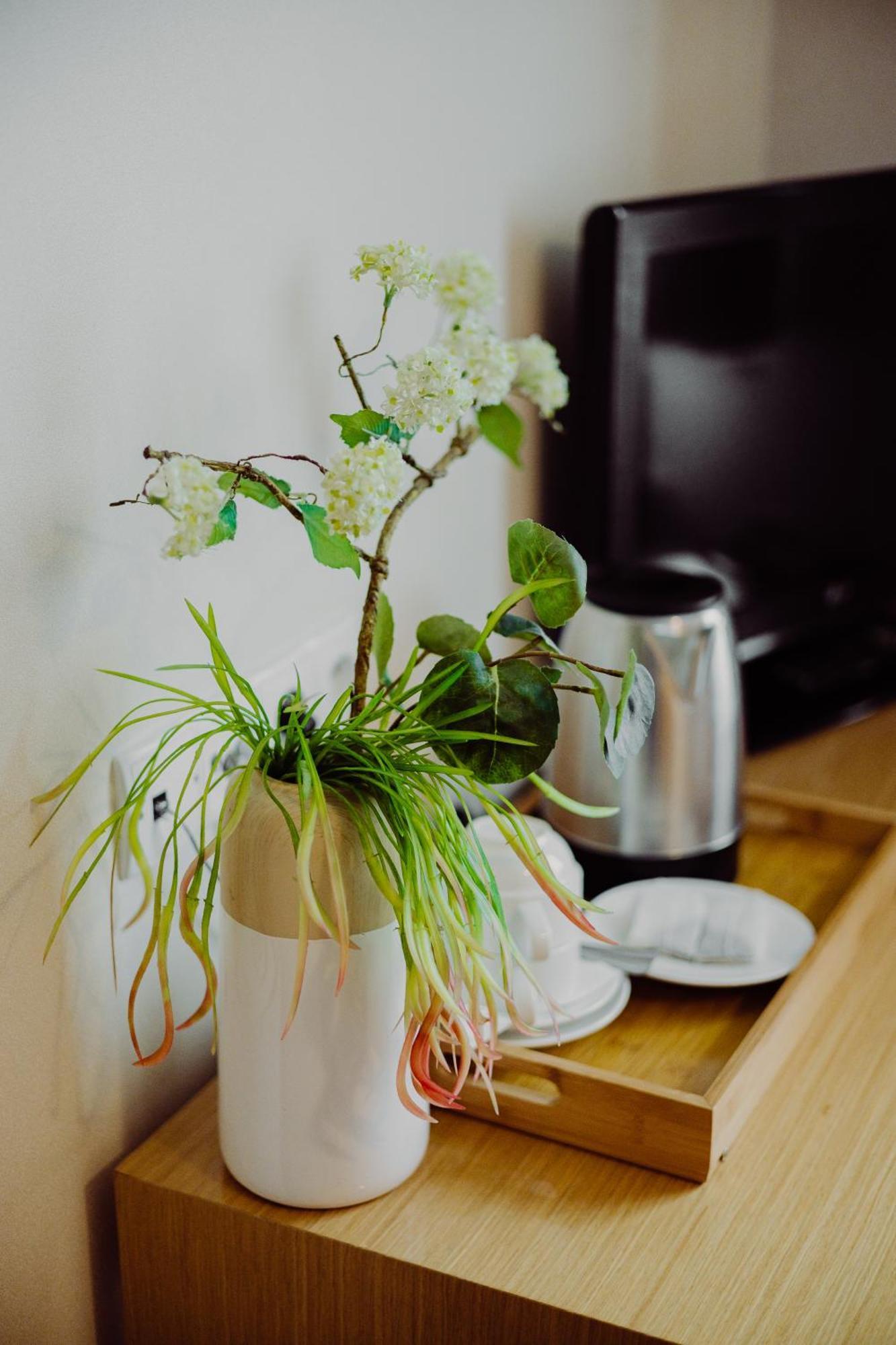 Hotel Bonsai Немча Экстерьер фото