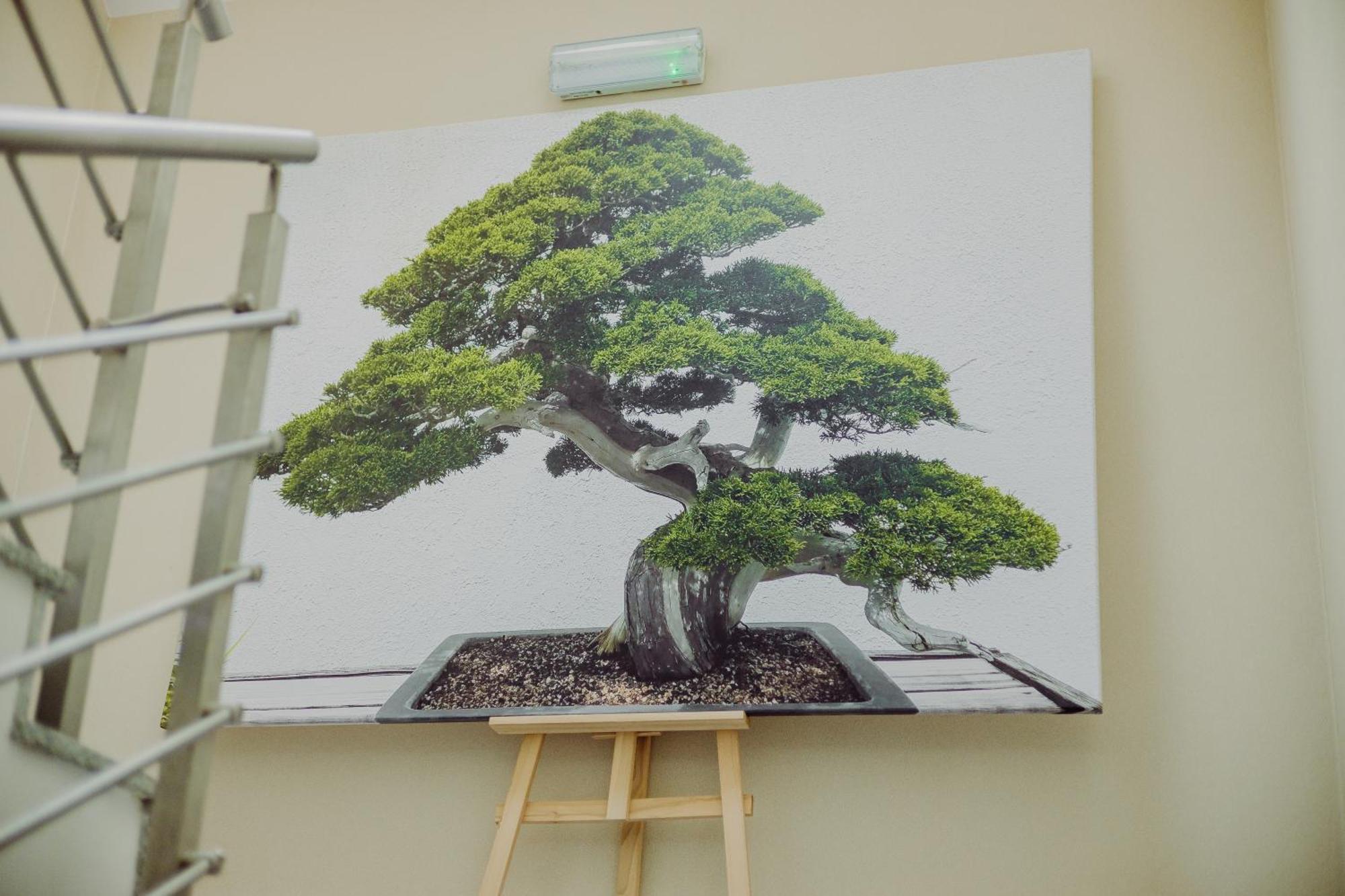 Hotel Bonsai Немча Экстерьер фото