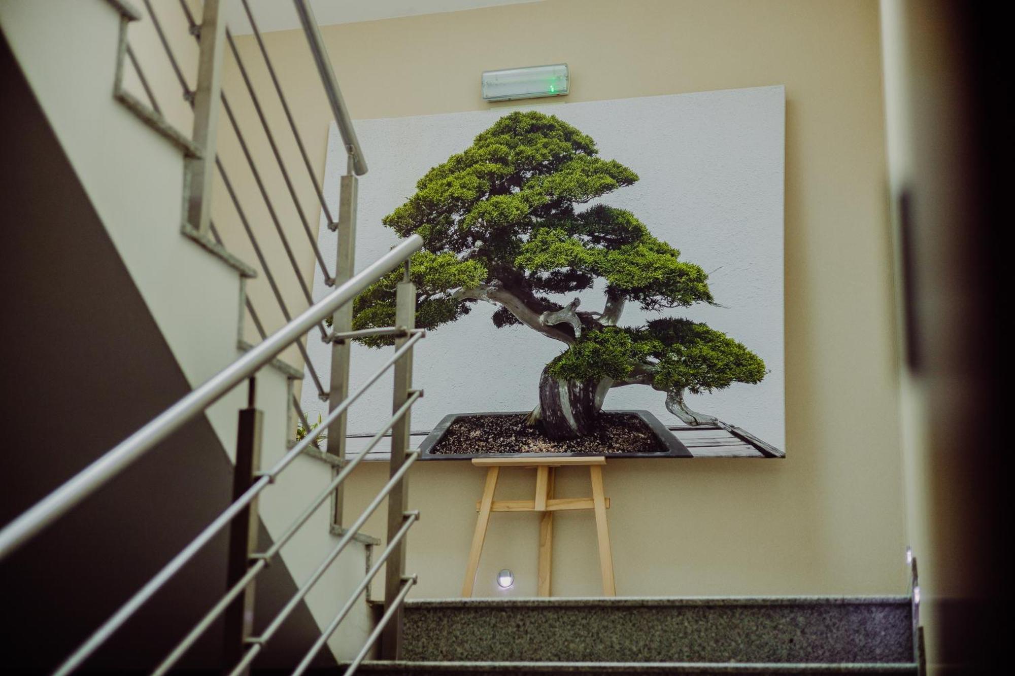 Hotel Bonsai Немча Экстерьер фото