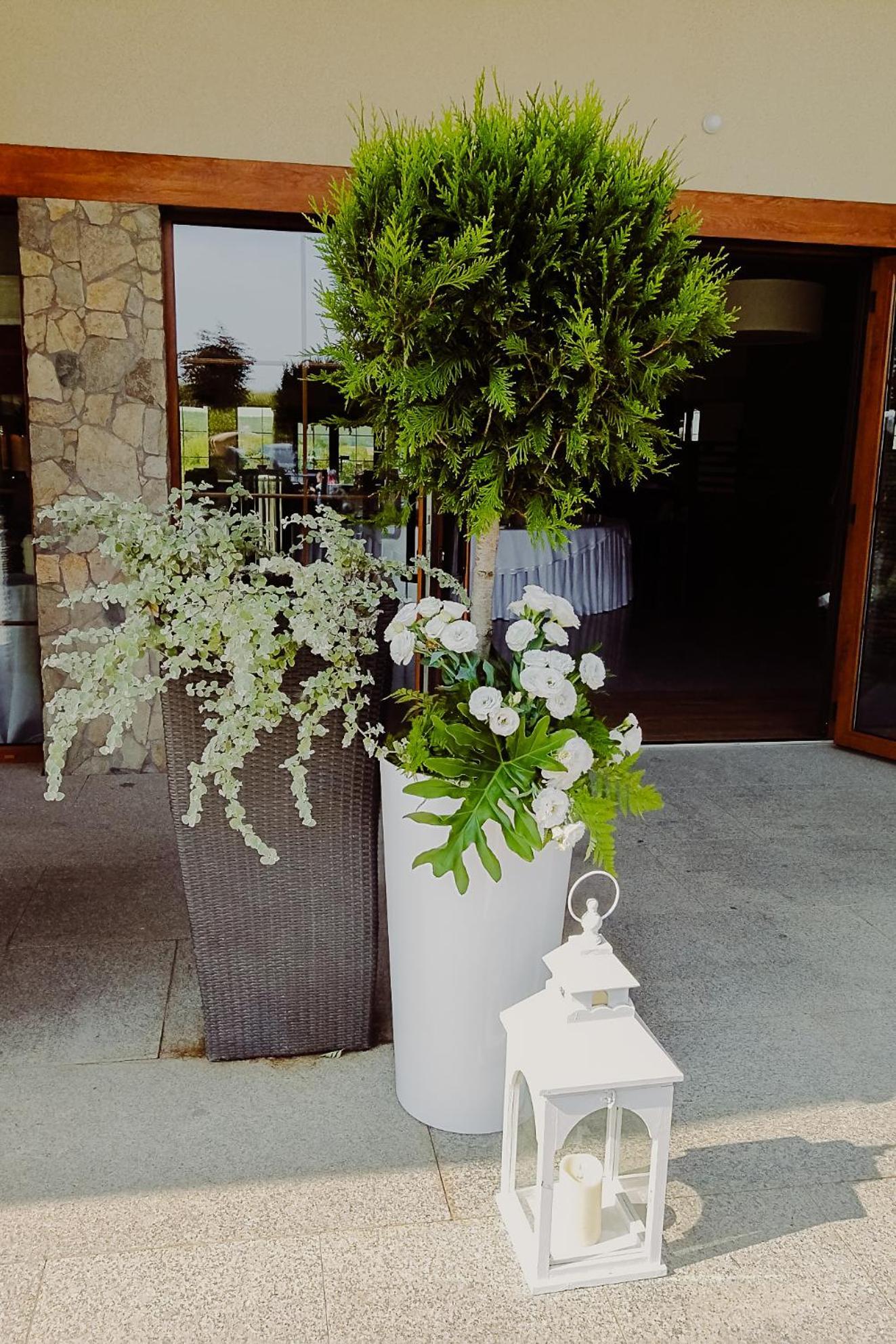 Hotel Bonsai Немча Экстерьер фото